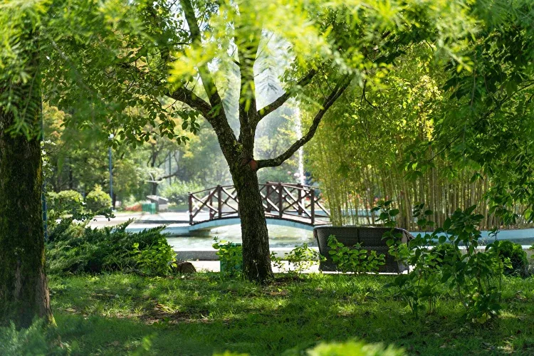 Современные санатории Сочи: лучшие SPA и wellness-курорты с лечением Современные санатории Сочи: лучшие SPA и wellness-курорты с лечением