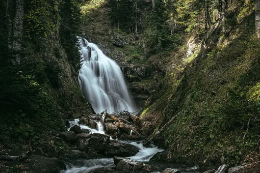 &laquo;Лето в горах: перезагрузка для тела и души в Rosa Springs 5*&raquo;
